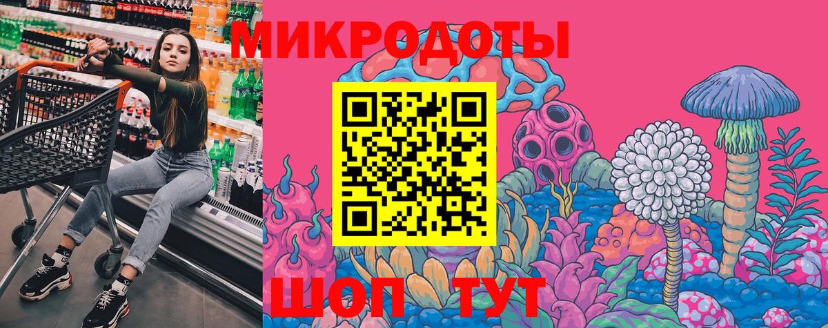купить наркотики цена  Вход с VPN  Михайловка  Псилоцибиновые грибы мухоморы  Псилоцибиновые грибы Psilocybe 