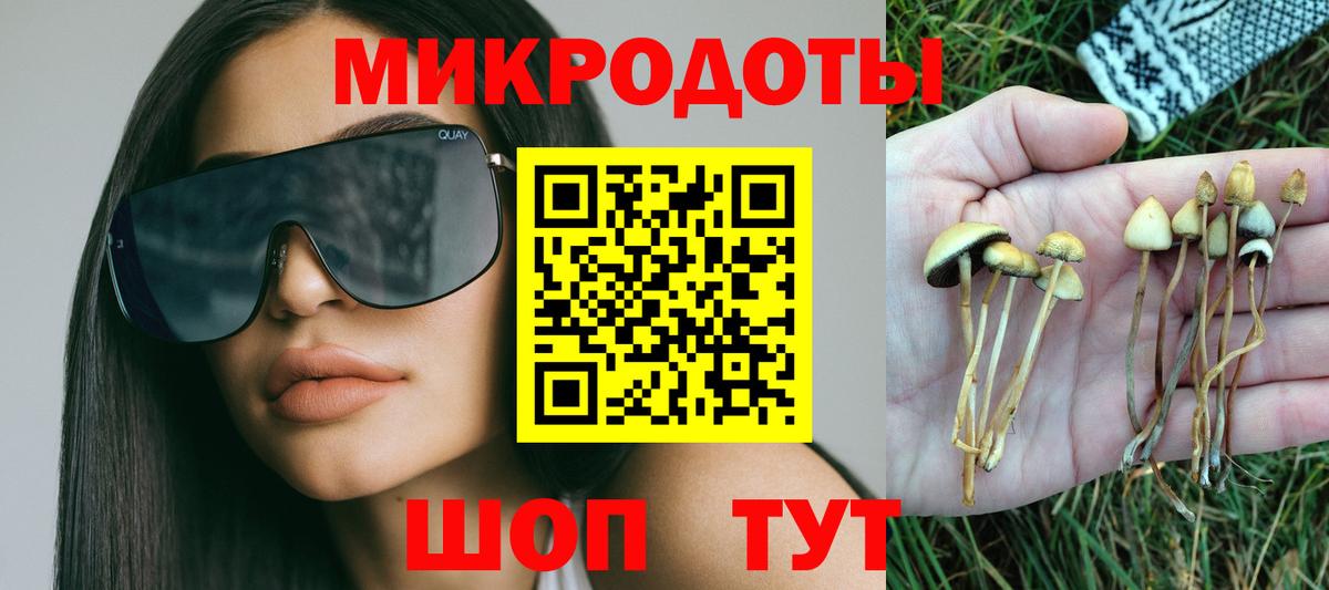 Галлюциногенные грибы Psilocybine cubensis Михайловка